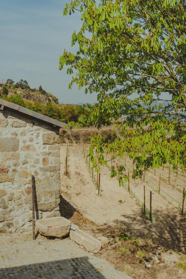 The Farmhouse I - Uma Quinta Deslumbrante Villa Felgueiras Bagian luar foto