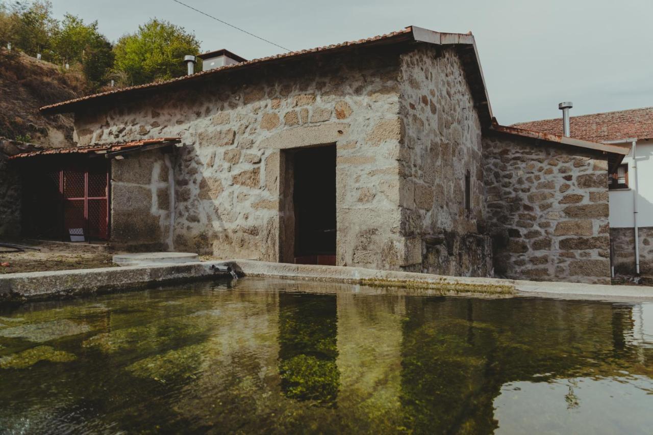 The Farmhouse I - Uma Quinta Deslumbrante Villa Felgueiras Bagian luar foto